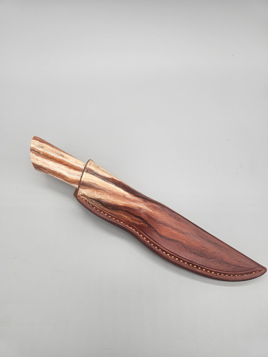 PM Integral Mammoth