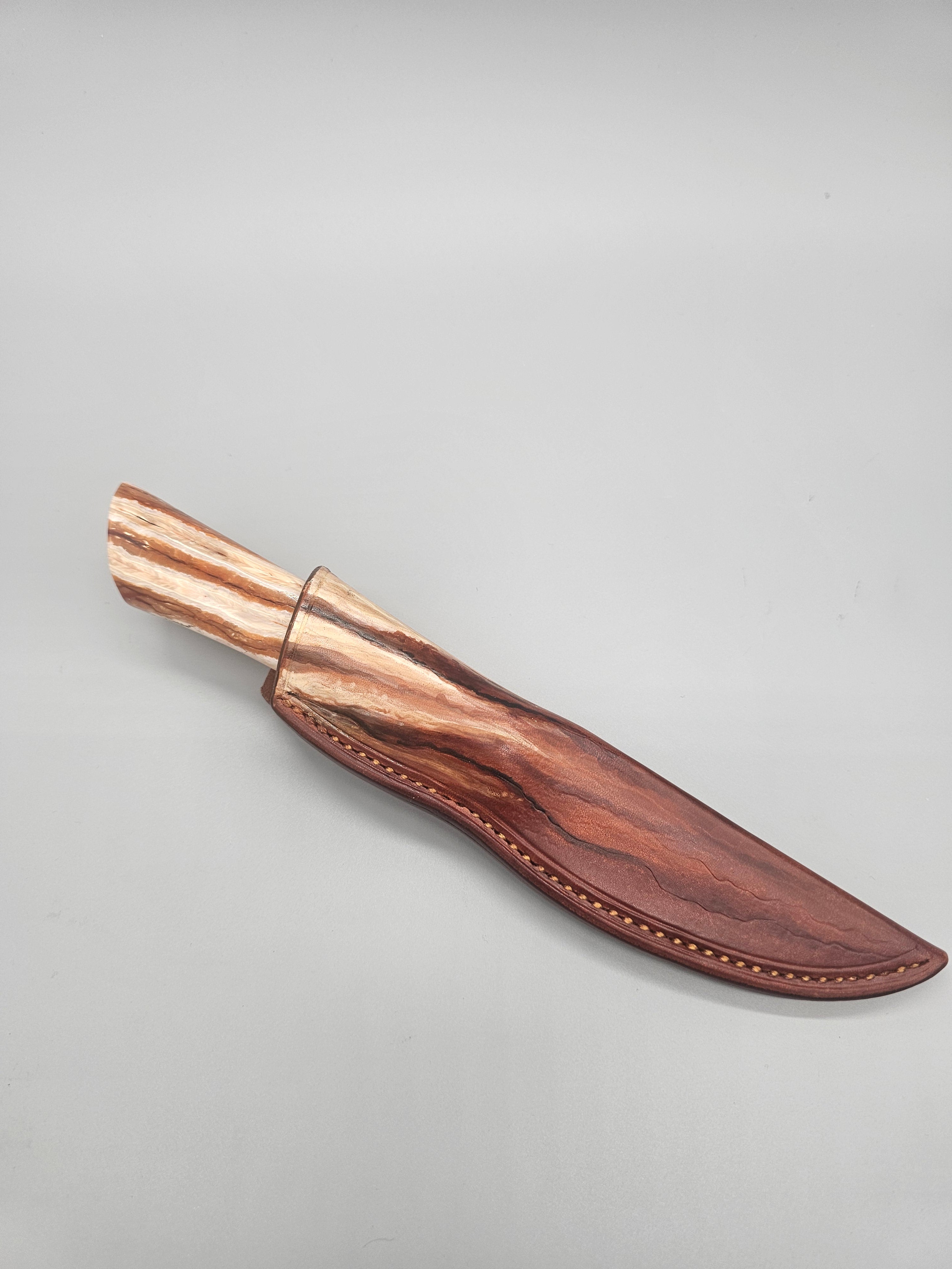 PM Integral Mammoth