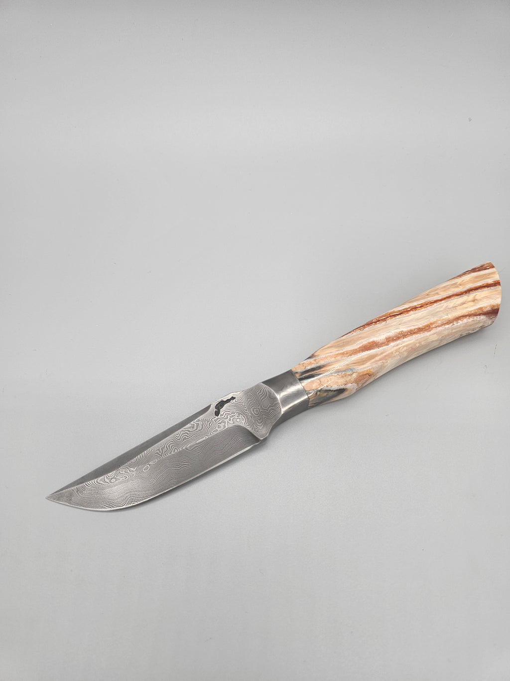 PM Integral Mammoth