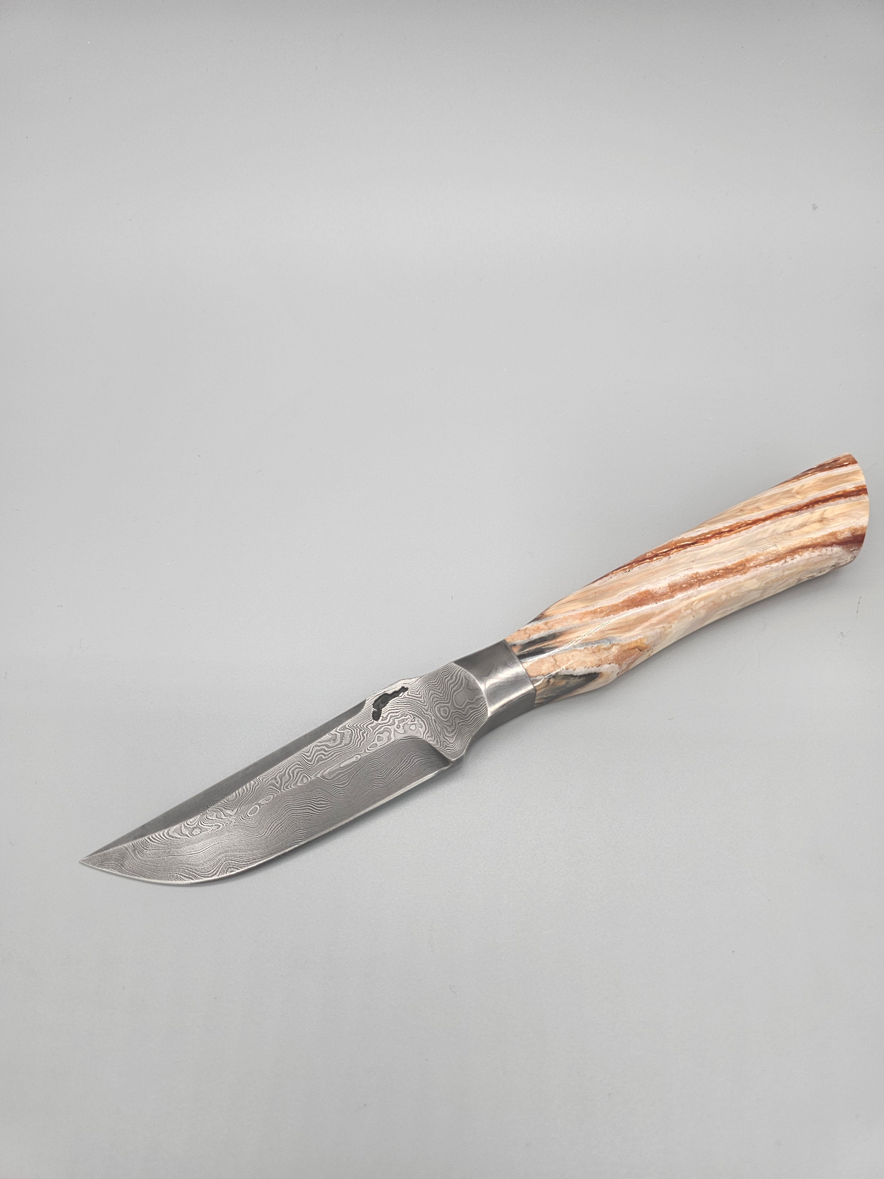 PM Integral Mammoth