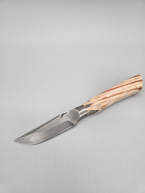 PM Integral Mammoth