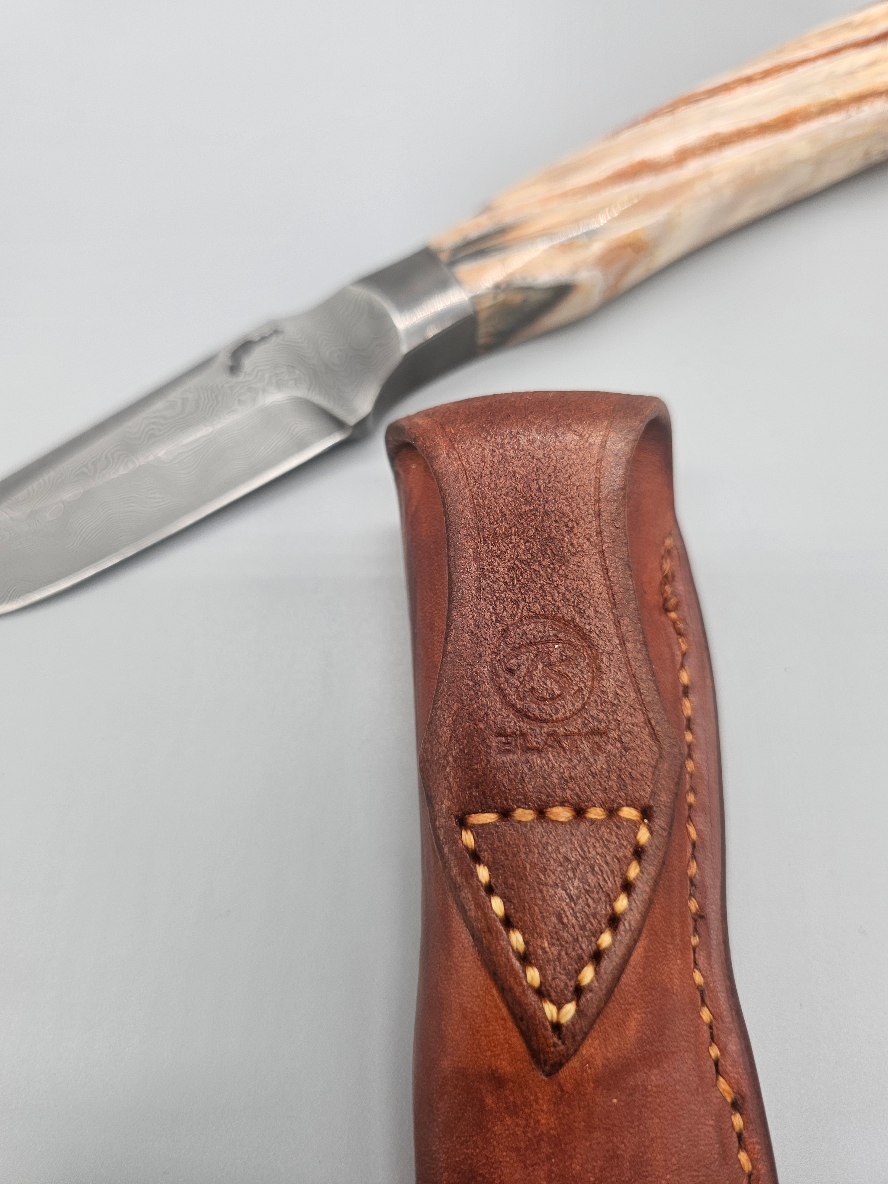 PM Integral Mammoth