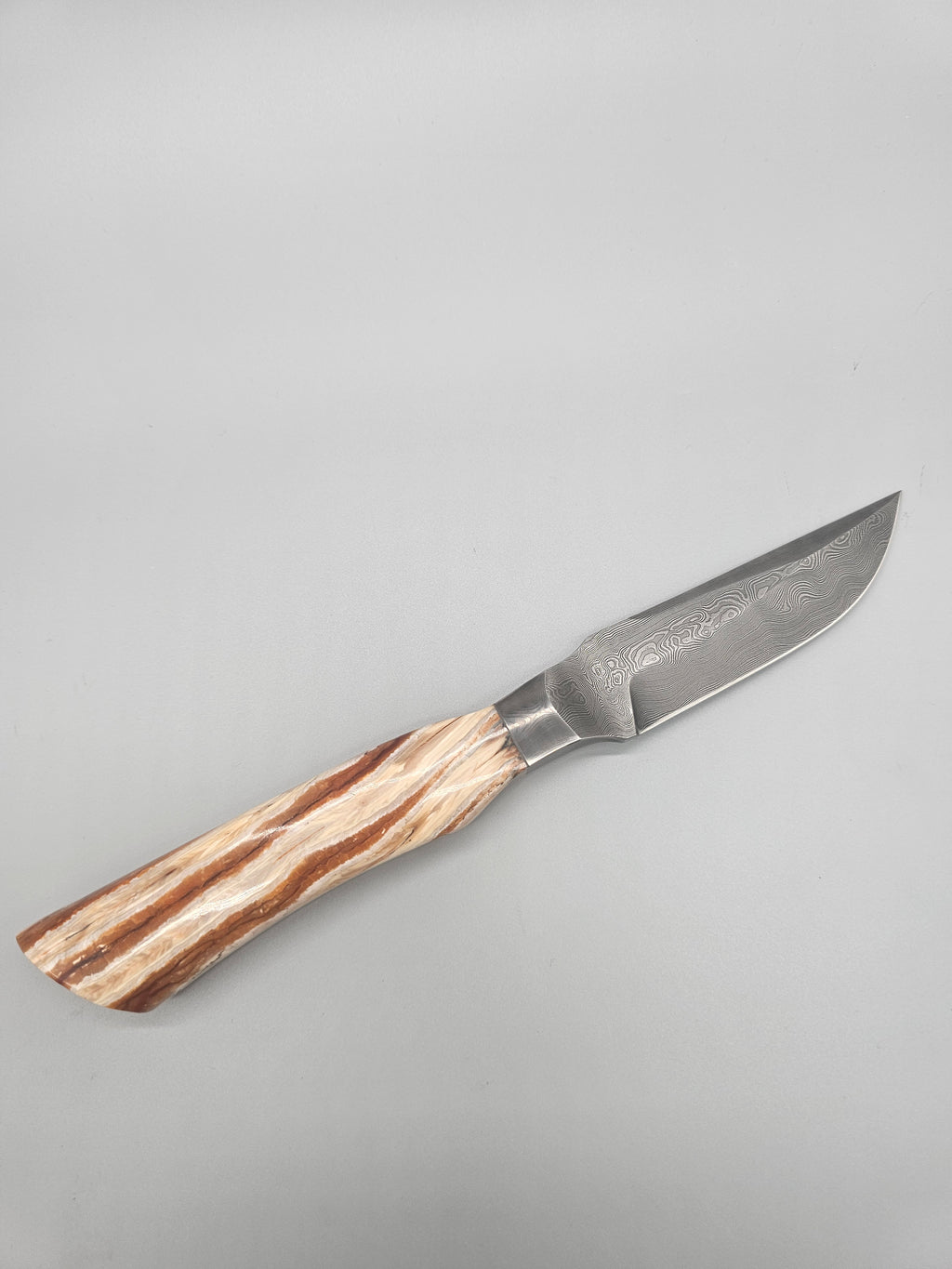 PM Integral Mammoth