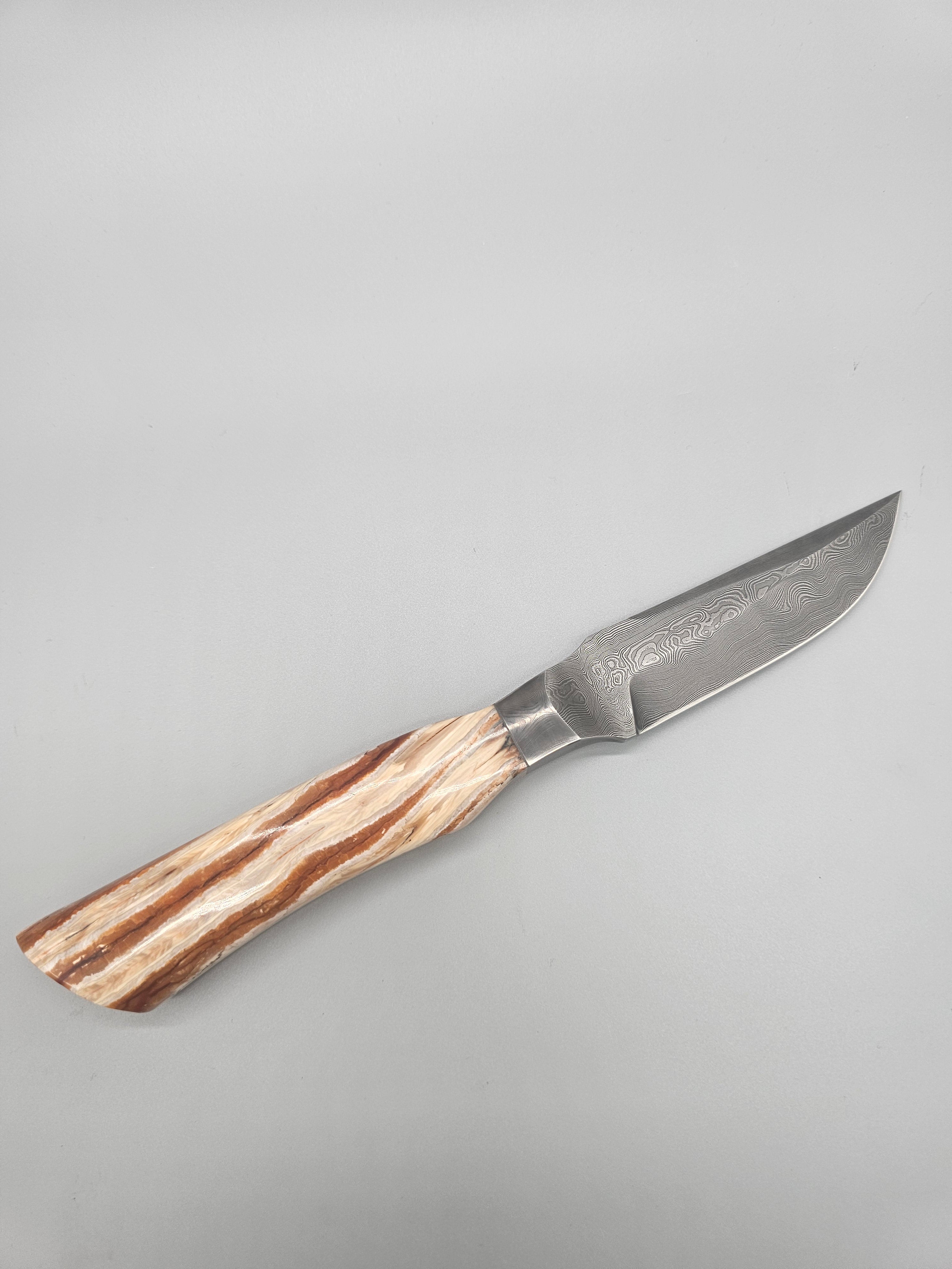 PM Integral Mammoth