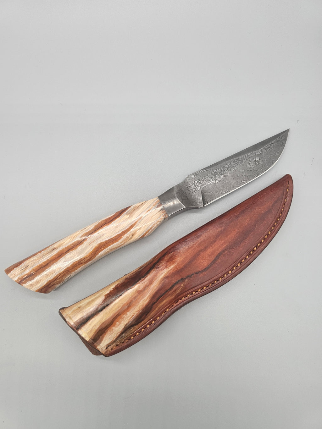 PM Integral Mammoth