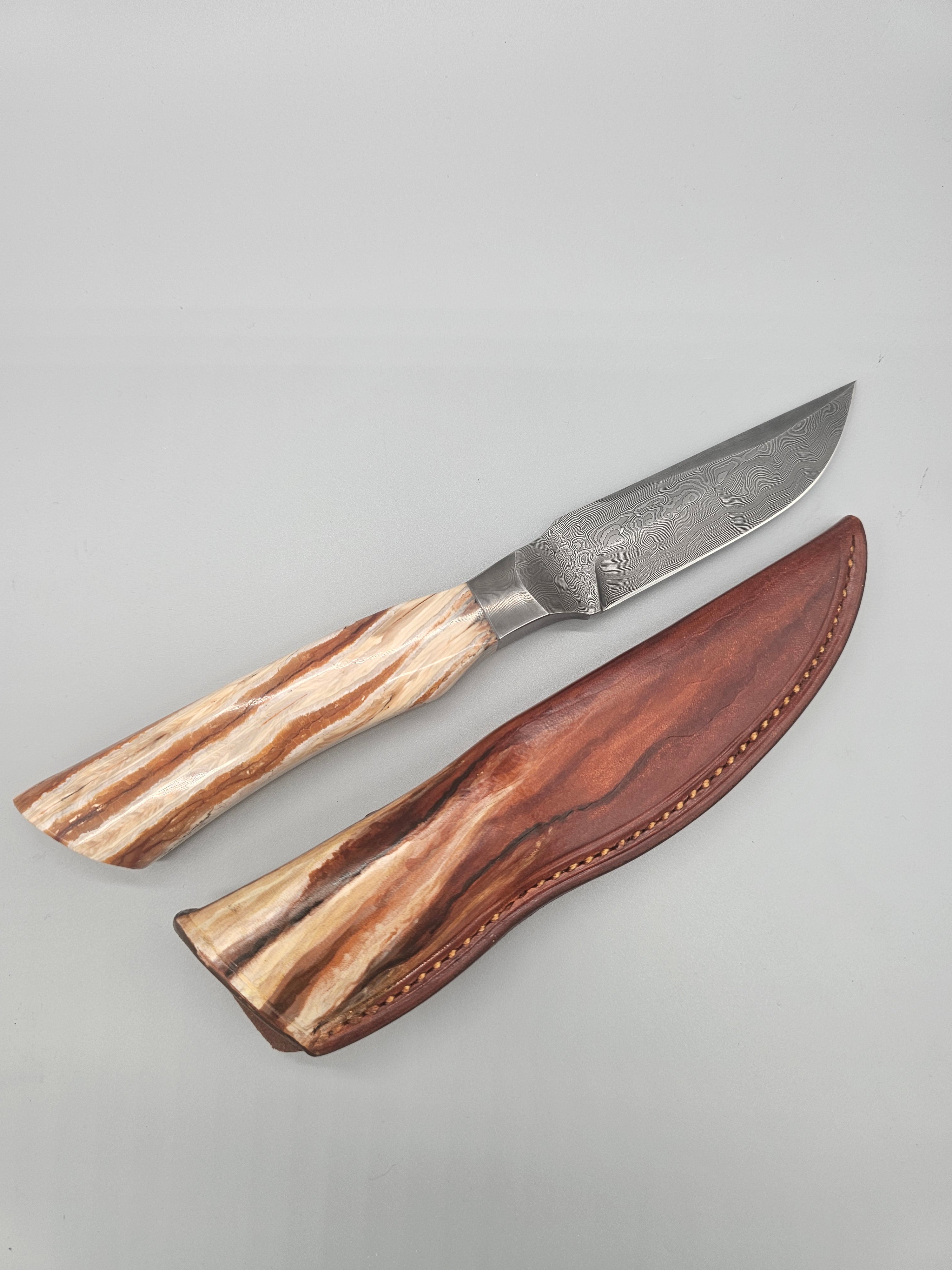 PM Integral Mammoth
