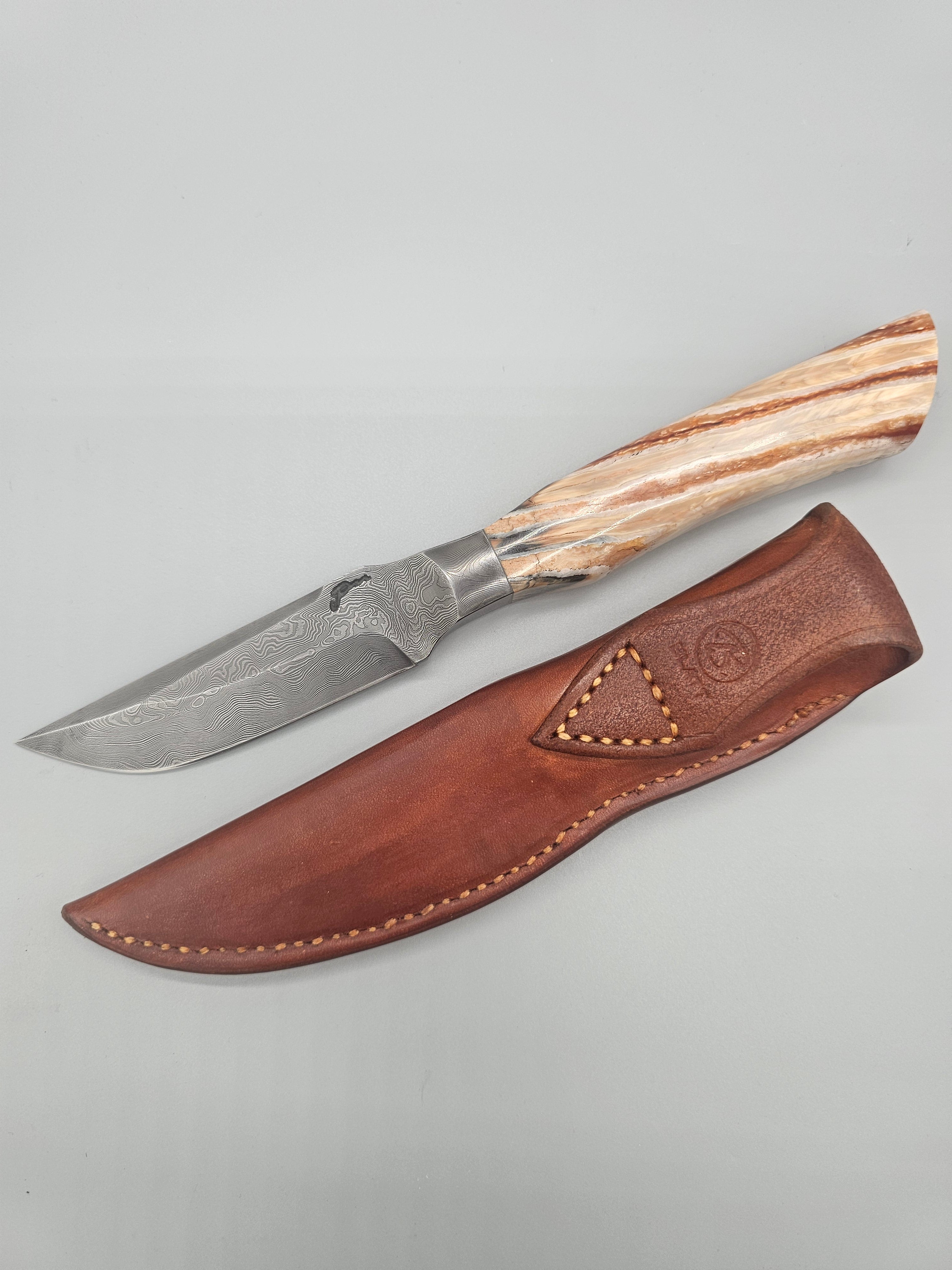 PM Integral Mammoth